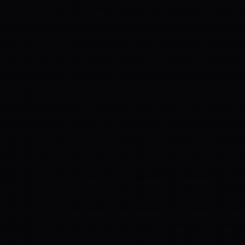 Plottix Permanente Vinylfolie 31,5cmx1m schwarz 